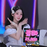 초롱초화